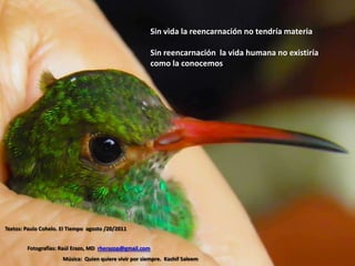 Sin vida la reencarnación no tendría materiaSin reencarnación  la vida humana no existiría como la conocemosTextos: Paulo Cohelo. El Tiempo  agosto /20/2011Fotografías: Raúl Erazo, MD  rherazop@gmail.com	Música:  Quien quiere vivir por siempre.Kashif Saleem
