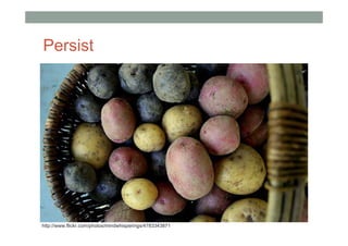 Persist




http://www.flickr.com/photos/mindwhisperings/4783343871
 