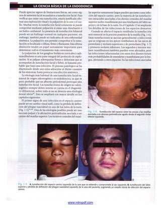 pdfree




www.nitropdf.com
 