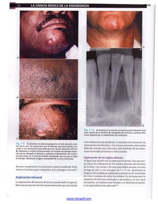 pdfree




www.nitropdf.com
 