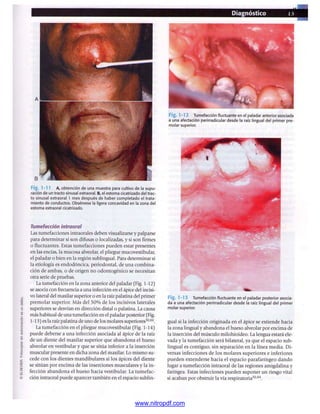 pdfree




www.nitropdf.com
 