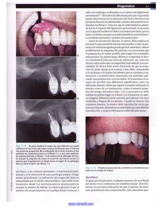 pdfree




www.nitropdf.com
 