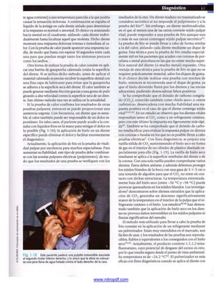 pdfree




www.nitropdf.com
 