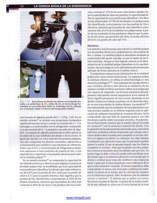 pdfree




www.nitropdf.com
 