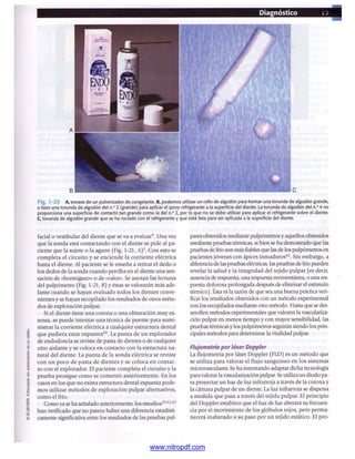 pdfree




www.nitropdf.com
 