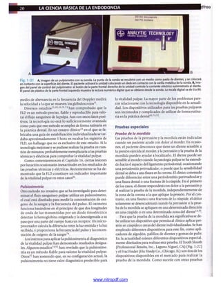 pdfree




www.nitropdf.com
 