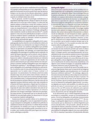 pdfree




www.nitropdf.com
 