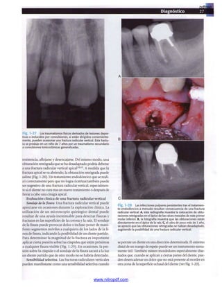 pdfree




www.nitropdf.com
 