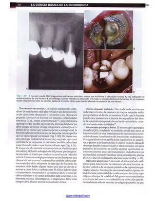 pdfree




www.nitropdf.com
 