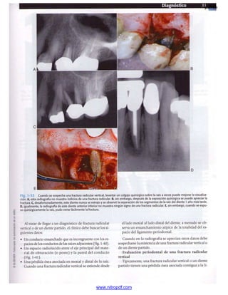 pdfree




www.nitropdf.com
 