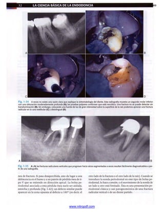 pdfree




www.nitropdf.com
 