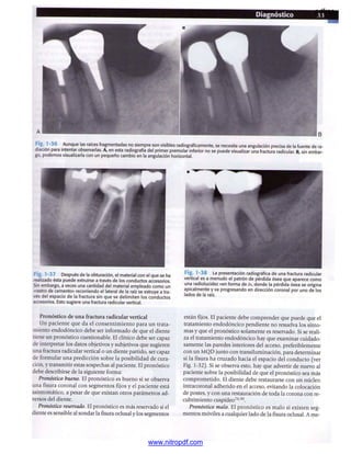 pdfree




www.nitropdf.com
 