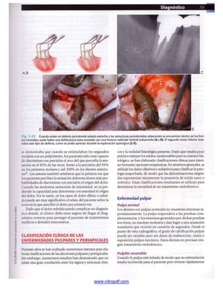 pdfree




www.nitropdf.com
 