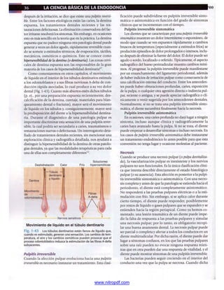 pdfree




www.nitropdf.com
 