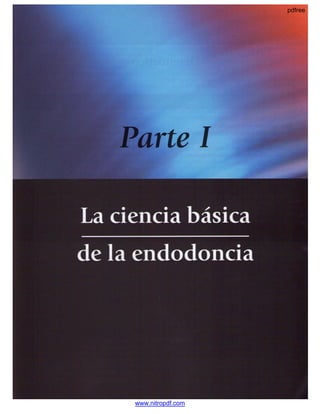 pdfree




www.nitropdf.com
 