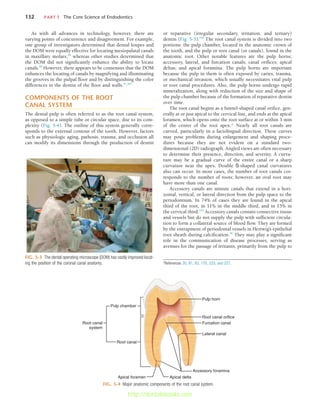 132	 PART I  The Core Science of Endodontics
or reparative (irregular secondary, irritation, and tertiary)
dentin (Fig. 5-5).199
The root canal system is divided into two
portions: the pulp chamber, located in the anatomic crown of
the tooth, and the pulp or root canal (or canals), found in the
anatomic root. Other notable features are the pulp horns;
accessory, lateral, and furcation canals; canal orifices; apical
deltas; and apical foramina. The pulp horns are important
because the pulp in them is often exposed by caries, trauma,
or mechanical invasion, which usually necessitates vital pulp
or root canal procedures. Also, the pulp horns undergo rapid
mineralization, along with reduction of the size and shape of
the pulp chamber because of the formation of reparative dentin
over time.
The root canal begins as a funnel-shaped canal orifice, gen-
erally at or just apical to the cervical line, and ends at the apical
foramen, which opens onto the root surface at or within 3 mm
of the center of the root apex.* Nearly all root canals are
curved, particularly in a faciolingual direction. These curves
may pose problems during enlargement and shaping proce-
dures because they are not evident on a standard two-
dimensional (2D) radiograph. Angled views are often necessary
to determine their presence, direction, and severity. A curva-
ture may be a gradual curve of the entire canal or a sharp
curvature near the apex. Double S-shaped canal curvatures
also can occur. In most cases, the number of root canals cor-
responds to the number of roots; however, an oval root may
have more than one canal.
Accessory canals are minute canals that extend in a hori-
zontal, vertical, or lateral direction from the pulp space to the
periodontium. In 74% of cases they are found in the apical
third of the root, in 11% in the middle third, and in 15% in
the cervical third.223
Accessory canals contain connective tissue
and vessels but do not supply the pulp with sufficient circula-
tion to form a collateral source of blood flow. They are formed
by the entrapment of periodontal vessels in Hertwig’s epithelial
root sheath during calcification.46
They may play a significant
role in the communication of disease processes, serving as
avenues for the passage of irritants, primarily from the pulp to
FIG. 5-3  The dental operating microscope (DOM) has vastly improved locat-
ing the position of the coronal canal anatomy.
FIG. 5-4  Major anatomic components of the root canal system.
Pulp horn
Pulp chamber
Root canal
system
Root canal
Root canal orifice
Furcation canal
Lateral canal
Apical foramen Apical delta
Accessory foramina
*References 30, 81, 83, 170, 223, and 227.
As with all advances in technology, however, there are
varying points of concurrence and disagreement. For example,
one group of investigators determined that dental loupes and
the DOM were equally effective for locating mesiopalatal canals
in maxillary molars,29
whereas other studies determined that
the DOM did not significantly enhance the ability to locate
canals.80
However, there appears to be consensus that the DOM
enhances the locating of canals by magnifying and illuminating
the grooves in the pulpal floor and by distinguishing the color
differences in the dentin of the floor and walls.41,107
COMPONENTS OF THE ROOT
CANAL SYSTEM
The dental pulp is often referred to as the root canal system,
as opposed to a simple tube or circular space, due to its com-
plexity (Fig. 5-4). The outline of this system generally corre-
sponds to the external contour of the tooth. However, factors
such as physiologic aging, pathosis, trauma, and occlusion all
can modify its dimensions through the production of dentin
http://dentalebooks.com
 