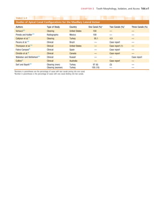 CHAPTER 5  Tooth Morphology, Isolation, and Access	 166.e1
TABLE 5-9 
Studies of Apical Canal Configurations for the Maxillary Lateral Incisor
Authors Type of Study Country One Canal (%)* Two Canals (%)†
Three Canals (%)
Vertucci223
Clearing United States 100 — —
Pineda and Kuttler170
Radiographic Mexico 100 — —
Calişkan et al.33
Clearing Turkey 95.1 4.9 —
Pecora et al.165
Clinical Brazil — Case report —
Thompson et al.216
Clinical United States — Case report (1) —
Fabra-Campos60
Clinical Spain — Case report —
Christie et al.38
Clinical Canada — Case report —
Walvekar and Behbehani233
Clinical Kuwait — — Case report
Collins42
Clinical Australia — Case report —
Sert and Bayirli190
Clearing (men) Turkey 97 (6) (3) —
Clearing (women) Turkey 100 (10) — —
*Numbers in parentheses are the percentage of cases with two canals joining into one canal.
†
Number in parentheses is the percentage of cases with one canal dividing into two canals.
 