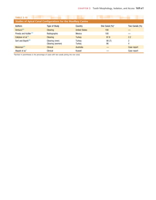 CHAPTER 5  Tooth Morphology, Isolation, and Access	 169.e1
TABLE 5-10 
Studies of Apical Canal Configurations for the Maxillary Canine
Authors Type of Study Country One Canal (%)* Two Canals (%)
Vertucci223
Clearing United States 100 —
Pineda and Kuttler170
Radiographic Mexico 100 —
Calişkan et al.33
Clearing Turkey 97.8 2.2
Sert and Bayirli190
Clearing (men) Turkey 98 (7) 2
Clearing (women) Turkey 96 4
Weisman243
Clinical Australia — Case report
Alapati et al.4
Clinical Kuwait — Case report
*Number in parentheses is the percentage of cases with two canals joining into one canal.
 