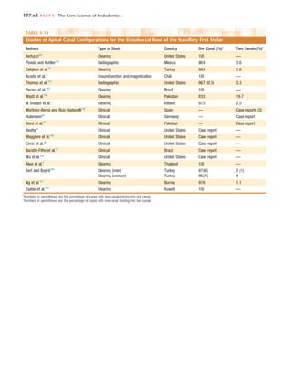 177.e2	 PART I  The Core Science of Endodontics
TABLE 5-14 
Studies of Apical Canal Configurations for the Distobuccal Root of the Maxillary First Molar
Authors Type of Study Country One Canal (%)* Two Canals (%)†
Vertucci223
Clearing United States 100 —
Pineda and Kuttler170
Radiographic Mexico 96.4 3.6
Calişkan et al.33
Clearing Turkey 98.4 1.6
Acosta et al.2
Ground section and magnification Chili 100 —
Thomas et al.215
Radiographic United States 96.7 (0.5) 3.3
Pecora et al.163
Clearing Brazil 100 —
Wasti et al.236
Clearing Pakistan 83.3 16.7
al Shalabi et al.3
Clearing Ireland 97.5 2.5
Martinez-Berná and Ruiz-Badanelli132
Clinical Spain — Case reports (3)
Hulsmann93
Clinical Germany — Case report
Bond et al.27
Clinical Pakistan — Case report
Beatty20
Clinical United States Case report —
Maggiore et al.128
Clinical United States Case report —
Cecic et al.35
Clinical United States Case report —
Baratto-Filho et al.15
Clinical Brazil Case report —
Wu et al.249
Clinical United States Case report —
Alavi et al.5
Clearing Thailand 100 —
Sert and Bayirli190
Clearing (men) Turkey 97 (6) 2 (1)
Clearing (women) Turkey 96 (7) 4
Ng et al.151
Clearing Burma 97.8 1.1
Zaatar et al.260
Clearing Kuwait 100 —
*Numbers in parentheses are the percentage of cases with two canals joining into one canal.
†
Numbers in parentheses are the percentage of cases with one canal dividing into two canals.
 