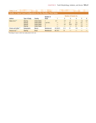 CHAPTER 5  Tooth Morphology, Isolation, and Access	 183.e1
TABLE 5-19 
Studies of Apical Canal Configurations for the Maxillary Third Molar
Authors Type of Study Country
Number of
Roots
Number of Canals (%)
1 2 3 4 5 6
Sidow et al.192
Clearing United States 1 2.7 2.7 6 2 1.3 0.7
Clearing United States 2 (4.7%*) — — 22 4.7 0.7 —
Clearing United States 3 — 0.7 29.3 14.7 1.7 —
Clearing United States 4 — — — 6 2.6 —
Pineda and Kuttler170
Radiographic Mexico Mesiobuccal 42 (20.6*) 31.1 21 5.9 — —
Pecora et al.165
Clearing Brazil Mesiobuccal 86 (18*) 14 — — — —
*Percentage of cases in which two canals joined to form one.
 