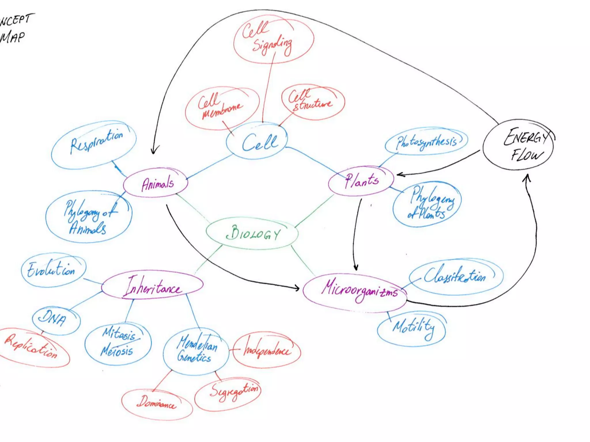 Taylor  Ins+tute  for  Teaching  and  Learning
Educa&onal	
  Development	
  Unit	
  
 