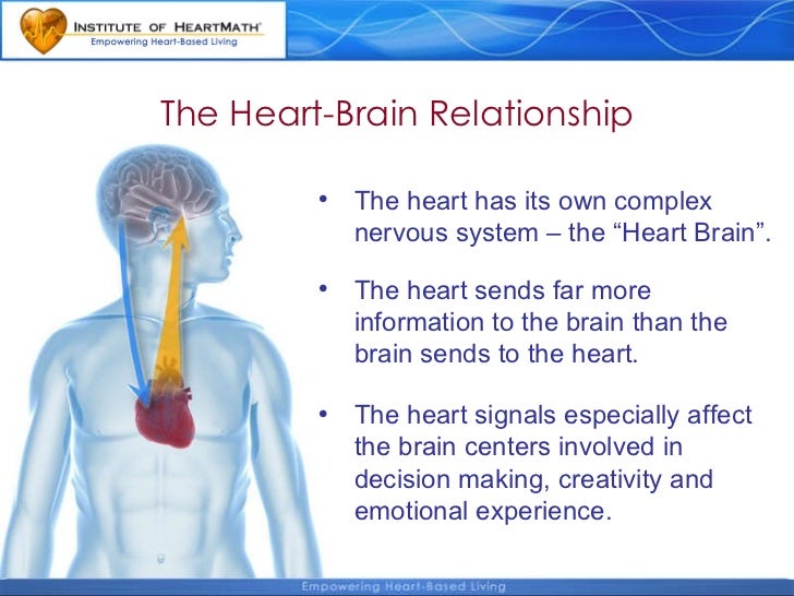 brain and heart coherence brain and heart coherence