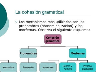 La cohesión gramatical Los mecanismos más utilizados son los pronombres (pronominalización) y los morfemas. Observa el siguiente esquema: Cohesión  gramatical Pronombres Morfemas Mostrativos Personales Numerales Género y  número Persona gramatical 