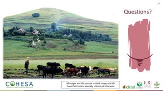 Capacitating One Health in Eastern and Southern Africa