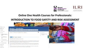 Online One Health Courses for Professionals:
INTRODUCTION TO FOOD SAFETY AND RISK ASSESSMENT
 