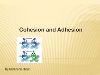 By Samjhana Thapa
Cohesion and Adhesion
 