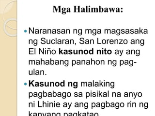 Mga Halimbawa:
Naranasan ng mga magsasaka
ng Suclaran, San Lorenzo ang
El Niño kasunod nito ay ang
mahabang panahon ng pag-
ulan.
Kasunod ng malaking
pagbabago sa pisikal na anyo
ni Lhinie ay ang pagbago rin ng
 