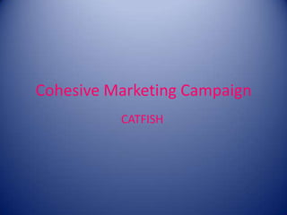 Cohesive Marketing Campaign
CATFISH
 