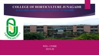 COLLEGE OF HORTICULTURE JUNAGADH
JUNAGADH AGRICUTURE UNIVARSITY JUNAGADH
WEL- COME
2019-20
 