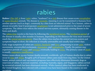 Rabies (/ˈ
reɪbiˈz; from Latin: rabies, "madness") is a viral disease that causes acute encephalitis
/
in warm-blooded animals. The disease is zoonotic, meaning it can be transmitted to humans from
another species (such as dogs), commonly by a bite from an infected animal. For a human, rabies is
almost invariably fatal if postexposure prophylaxis is not administered prior to the onset of severe
symptoms. The rabies virus infects the central nervous system, ultimately causing disease in the
brain and death.
The rabies virus travels to the brain by following the peripheral nerves. The incubation period of
the disease is usually a few months in humans, depending on the distance the virus must travel to
reach the central nervous system. Once the rabies virus reaches the central nervous system and
symptoms begin to show, the infection is virtually untreatable and usually fatal within days.
Early-stage symptoms of rabies are malaise, headache and fever, progressing to acute pain, violent
movements, uncontrolled excitement, depression, and hydrophobia. Finally, the patient may
experience periods of mania and lethargy, eventually leading to coma. The primary cause of death
is usually respiratory insufficiency.
Rabies causes about 55,000 human deaths annually worldwide. 95% of human deaths due to rabies
occur in Asia and Africa. Roughly 97% of human rabies cases result from dog bites.] In the United
States, animal control and vaccination programs have effectively eliminated domestic dogs as
reservoirs of rabies. In several countries, including Australia, Japan, and Singapore, rabies carried
by terrestrial animals has been eliminated entirely. While classical rabies has been eradicated in
the United Kingdom, bats infected with a related virus have been found in the country on rare

 