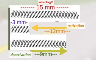 Orthodontic Coil spring