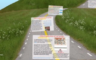 Orthodontic Coil spring