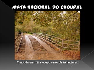 Fundada em 1791 e ocupa cerca de 79 hectares.
 