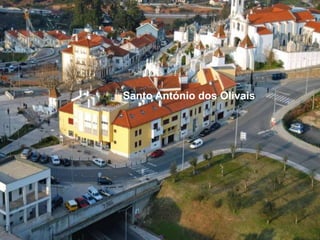 Santo António dos Olivais
 