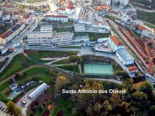 Santo António dos Olivais
 