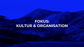 FOKUS:
KULTUR & ORGANISATION
 