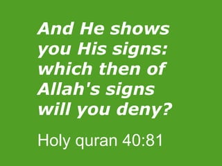 And He shows you His signs: which then of Allah's signs will you deny? Holy quran 40:81 