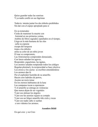Quiso guardar todas las sonrisas 
Y ya nadie confió en sus lágrimas 
Todavía intenta juntar los dos árboles prohibidos 
Sin dar con el espejo apropiado para sí 
En su testarudez 
Cuida de mantener la muerte con 
Amistad en sus primeras yemas, 
Ambito de libros sagrados sepultados en el tiempo, 
Llega en la más humana de las olas 
calla su espuma 
escapa del turquesa 
trepa a los árboles 
arma su color de un rubio joven 
El mar se compromete, 
Las Alstromerias comprenden demasiado, 
Con lanza saludan los agaves, 
Responden ,juguetonas, las ágatas, 
Los aromos saludan rompiendo todos los códigos 
Regalan plenitud y la reciprocidad se hace electiva 
Los erizos y los cactus se escriben entendiéndose 
Los aromos dan fe 
Por el esplendor humilde de su amarillo. 
Hacen coro ladridos de perros, 
Asomo un rocío tenue 
En los eternos habitantes de la luna 
Las campanas tocan a esperanzas 
Y el amarillo se entrega en violencias 
Que nunca dejan de ser vegetales 
Y por eso aletean los ángeles 
Y por eso las aeonias siguen su compás 
Y por eso un fulgor amarillo tiñe cielo y rocas 
Y por eso nadie sabe si sueñan 
o son videntes los aromos. 
Asombro Débil 
En qué creo y no Creo 
 