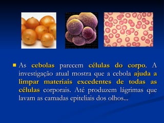 As  cebolas  parecem  células do corpo . A investigação atual mostra que a cebola  ajuda a limpar materiais excedentes de todas as células  corporais. Até produzem lágrimas que lavam as camadas epiteliais dos olhos...   