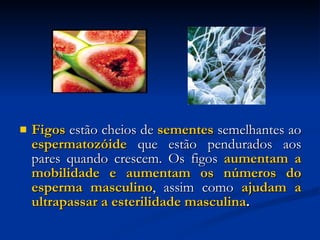 Figos  estão cheios de  sementes  semelhantes ao  espermatozóide  que estão pendurados aos pares quando crescem. Os figos  aumentam a mobilidade e aumentam os números do esperma masculino , assim como  ajudam a ultrapassar a esterilidade masculina . 