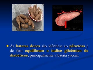 As  batatas doces  são idênticas ao  pâncreas   e de fato  equilibram o índice glicêmico de diabéticos , principalmente a batata yacom. 