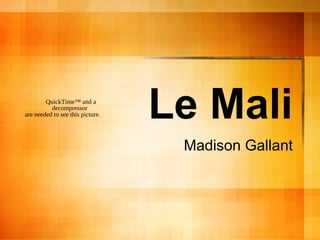 Le Mali
Madison Gallant
QuickTime™ and a
decompressor
are needed to see this picture.
 