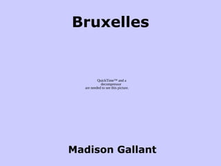 Bruxelles
Madison Gallant
QuickTime™ and a
decompressor
are needed to see this picture.
 