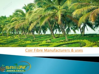 Coir Fibre Manufacturers & uses
 