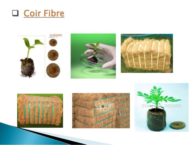 (Properties & Uses of Coir Fiber With Types & Manufacturing Process)