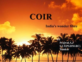 COIR 
India's wonder fibre 
BY 
Prajwal.A,J 
S.I.T(PGDM-RC) 
Tumkur 
 